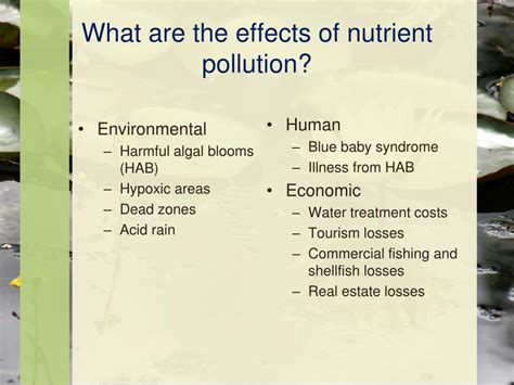 PPT - Water Pollution PowerPoint Presentation, free download - ID:3152736