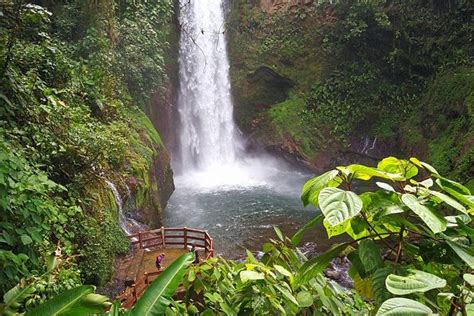 La Paz Waterfall Gardens & Wildlife Refuge Day Tour From San Jose: Triphobo