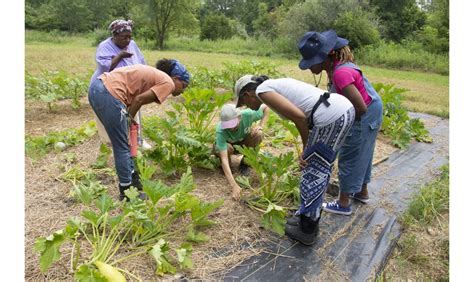 Sustainable Agriculture in Ohio | The Nature Conservancy