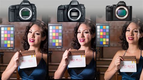 Comparing Canon and Sony Full Frame Cameras That Cost Under $2,000 | PetaPixel