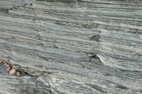 Premium Photo | Slate and schist background texture