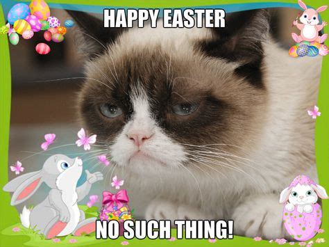 42 Grumpy Cat Easter ideas | grumpy cat, grumpy, grumpy cat humor