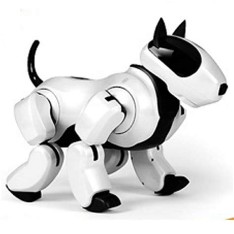 10 Best Pet Robot Toys That Every Human Should Own