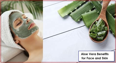 Aloe Vera Benefits for Face and Skin