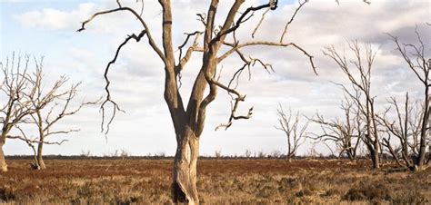 Australian droughts to become more intense | Meteorological Technology International