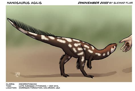 Nanosaurus agilis by SleinadFlar on DeviantArt