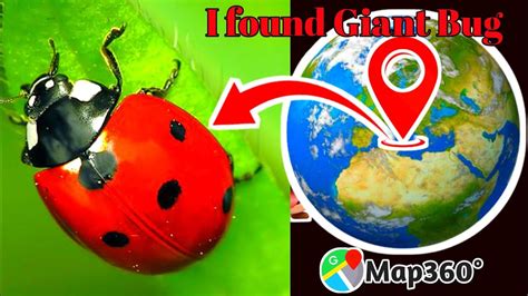 I found a giant leady bug sculpture in real life on google maps and google earth 🌎 #viral # ...