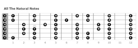 All The Guitar Notes Explained & How To Memorize Them - STG