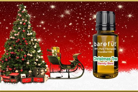 Christmas Tree Eternity Blend - Barefut Essential Oils