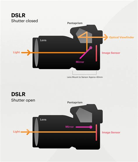 DSLR vs Mirrorless: Which Is Best for Professional Photography?🧂 Dê vida às suas ideias com o ...