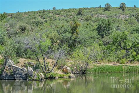 View of Fain Lake in Prescott Valley, Photograph by Norm Lane - Pixels