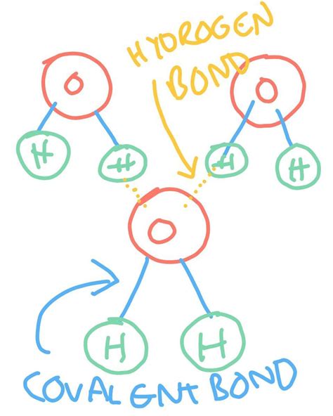 Water Molecule Diagram Labeled