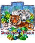 Siberian Tiger | Slotopaint