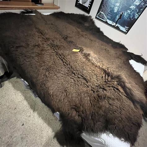 Buffalo Hide | EstateSales.org