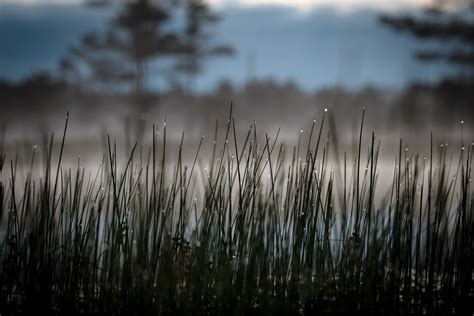 Contact - Capture Estonia Nature and Photography Tours