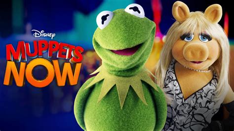 Watch Muppets Now | Disney+