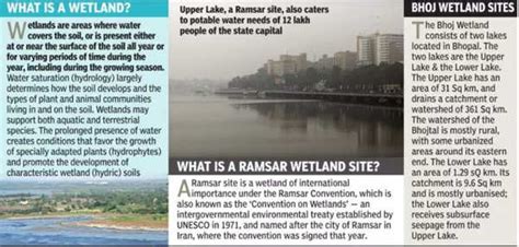 Wetland tag puts Bhopal lakes on global map | Bhopal News - Times of India