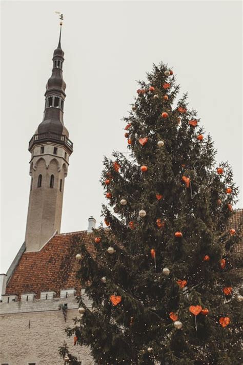 Christmas Tree In A Church Photos, Download The BEST Free Christmas Tree In A Church Stock ...