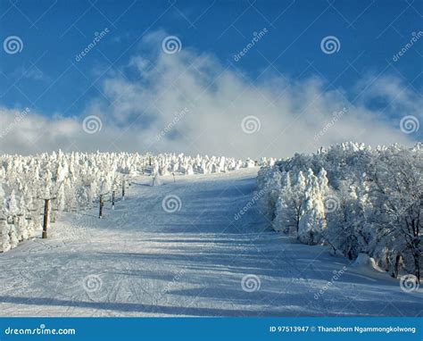 Yamagata Frozen Trees Snow Monsters and Ski Slope at Mt.zao Stock Image ...