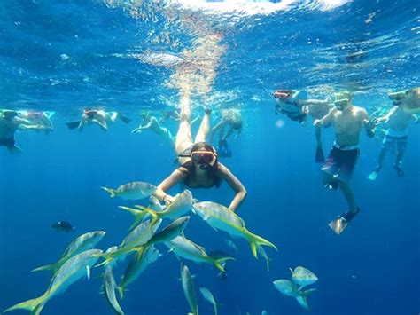 Grand Turk Marine Park Reef Snorkel Excursion - Grand Turk Excursions