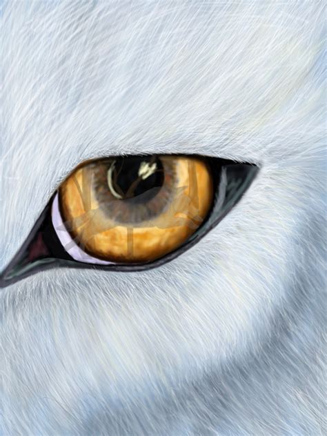 Wolf Eye Drawing at PaintingValley.com | Explore collection of Wolf Eye Drawing