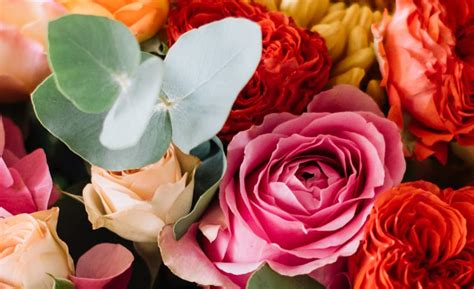 Same-Day Charlotte Flower Delivery | The Blossom Shop Florist NC