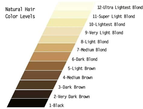 niveles | Natural hair color, Hair color chart, Wella color charm