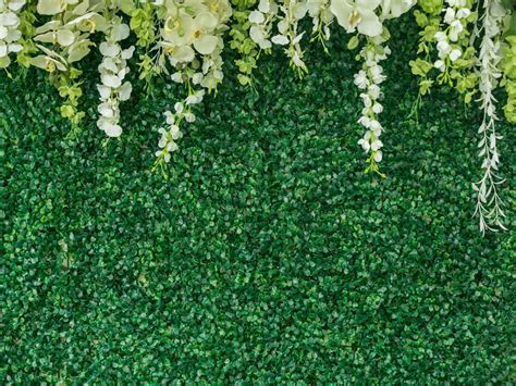 Green Wedding Wall Flowers Photo Backdrops Booth Romantic Photography ...