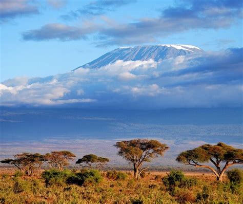 The Mount Kilimanjaro Deaths - Statistics and Facts - Safariclock Adventures