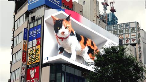 Japan's giant 3D 'Shinjuku cat' has taken over one of Tokyo's biggest billboards - CNN Style