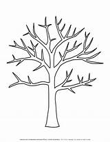 Leafless Tree Coloring Page sketch template