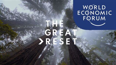 Great Reset Dialogues | Six leaders discuss why we must reform the social contract after COVID ...