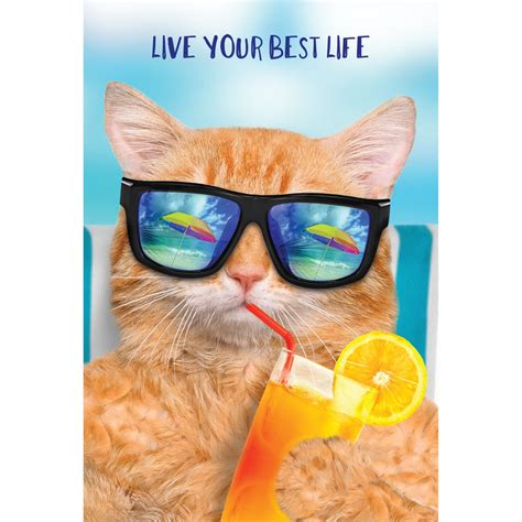 Best Life Cool Cat Funny Birthday Card