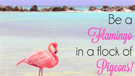 Be a Flamingo Tech Wallpapers - Strange & Charmed