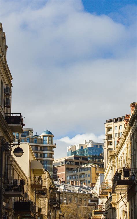 Black and White Picture of Traditional Buildings in City · Free Stock Photo