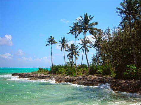 6 Reasons Why You Should Visit Andros Island, Bahamas - Cosmos Mariners: Destination Unknown