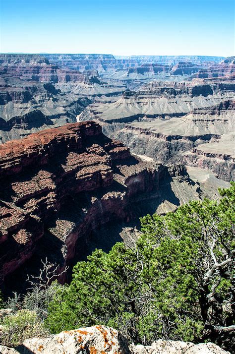 South Rim Trail View Photograph by Norman Johnson - Fine Art America