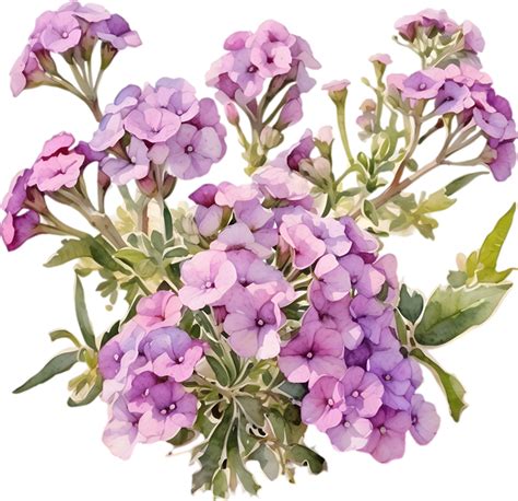 Close-up of a blooming desert sand verbena flower. AI-Generated. 44807898 PNG