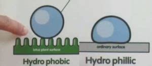 Hydrophobic/Hydrophilic Properties – MRSEC Education Group – UW–Madison