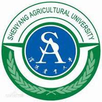 Shenyang Agricultural University SYAU - China Admissions