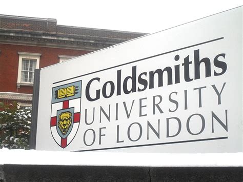 Studying Social Entrepreneurship at Goldsmiths