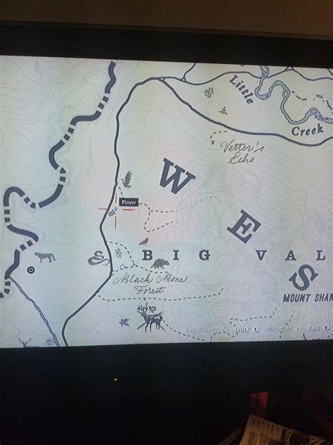 PSA Wintergreen berries : r/reddeadredemption2