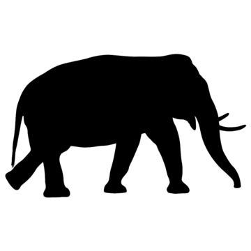 Elephant White Elephant Silhouette Vector, White, Elephant, Silhouette PNG and Vector with ...