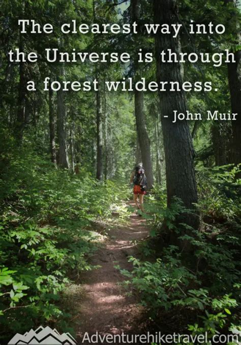 25 JOHN MUIR QUOTES TO INSPIRE WANDERLUST - Adventure Hike Travel