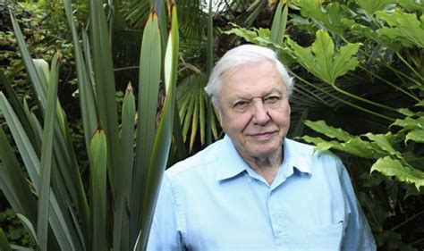 WATCH: Best show on Planet Earth… but Sir David Attenborough won't be ...