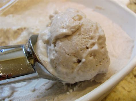 Homemade Coconut Milk Ice Cream - Dr. Talia Marcheggiani, ND