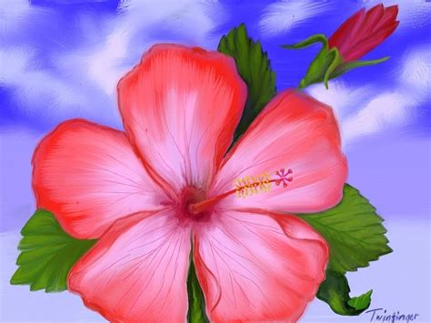 Gumamela Painting by Twinfinger