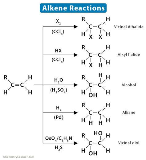 Alkene Reactions: Definition, Types, and Mechanism