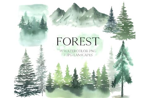 Watercolor Forest Tree Clipart, Pine Tree Png , Woodland Tree, Forest Landscape, Watercolor Tree ...