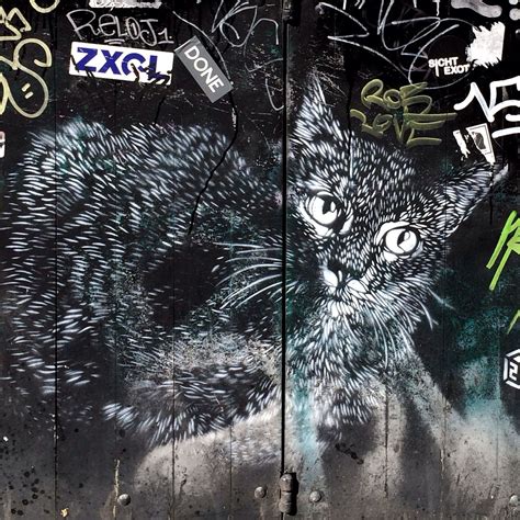 Street art by C215 in Amsterdam | 3d street art, Street art, Cat art